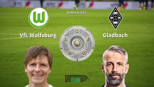 高额固定费 高额固定费